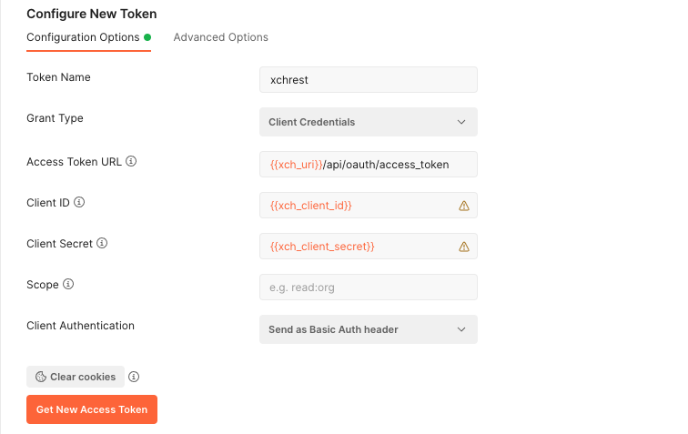 postman_token_config.png